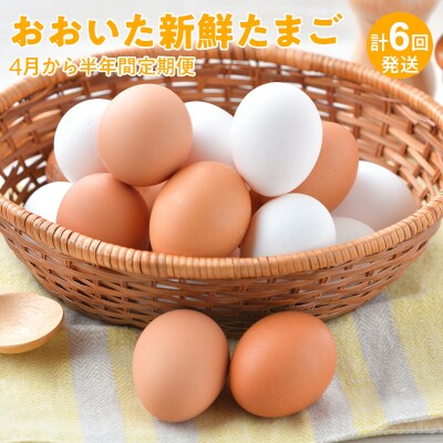 おおいた新鮮たまご4月から半年間定期便/計6回発送_1369R | ふるさと納税のお礼品