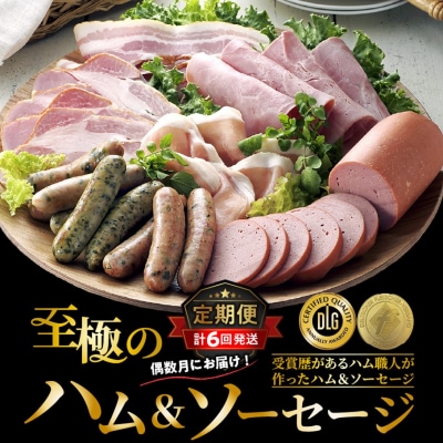 偶数月にお届け!贅沢ハム・ソーセージ定期便/計6回発送_2154R