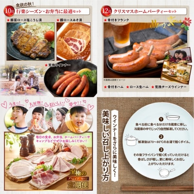 偶数月にお届け!贅沢ハム・ソーセージ定期便/計6回発送_2154R