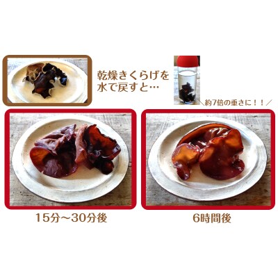 業務用乾燥きくらげ LLサイズ　450g×1袋_2149R