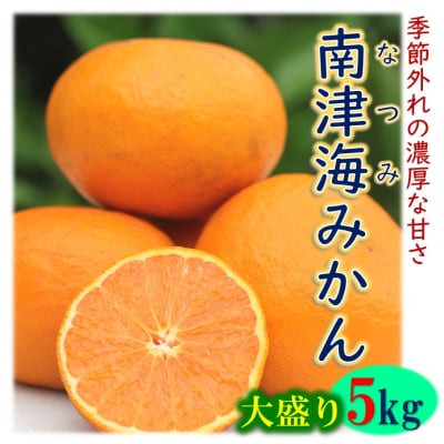 貴重な極甘みかん「南津海(なつみ)」約5kg_1508R