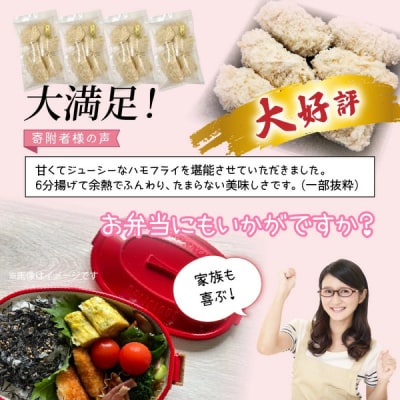 大分県産 鱧フライ 1.2kg_2174R