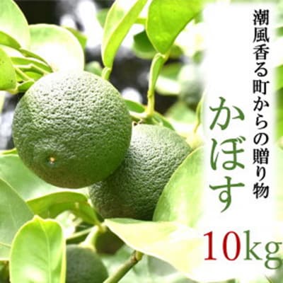 【令和6年8月下旬から発送】潮風香る町の贈り物 大分県産かぼす10kg_1817R