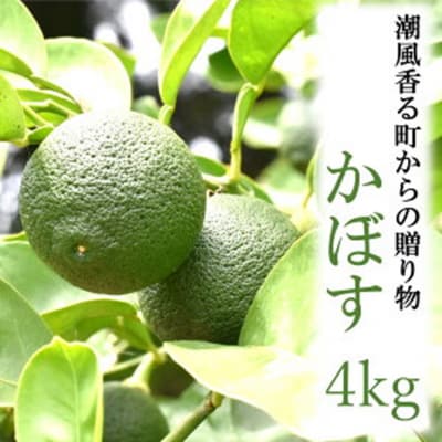 【令和7年9月初旬から発送】潮風香る町の贈り物 大分県産かぼす4kg_1816R