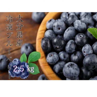 【ご家庭用】冷凍ブルーベリー2.5kg(大分県産)_1894R