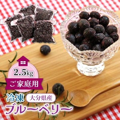 【ご家庭用】冷凍ブルーベリー2.5kg(大分県産)_1894R