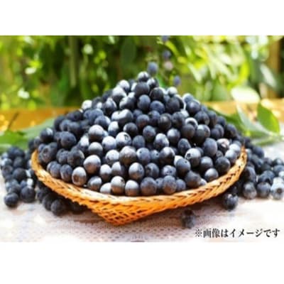【ご家庭用】冷凍ブルーベリー2.5kg(大分県産)_1894R