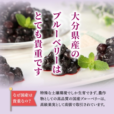 【ご家庭用】冷凍ブルーベリー2.5kg(大分県産)_1894R