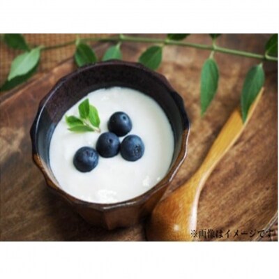 【ご家庭用】冷凍ブルーベリー2.5kg(大分県産)_1894R