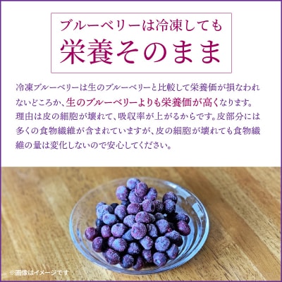 【ご家庭用】冷凍ブルーベリー2.5kg(大分県産)_1894R