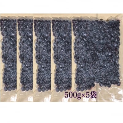 【ご家庭用】冷凍ブルーベリー2.5kg(大分県産)_1894R