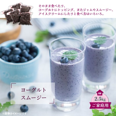 【ご家庭用】冷凍ブルーベリー2.5kg(大分県産)_1894R