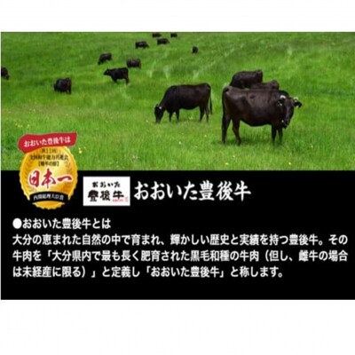 毎月お届け!豊後牛切り落とし定期便 / 計3回発送_2195R