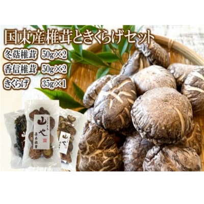 【数量限定】山やの乾しいたけときくらげのセット 希少 純国産 きくらげ_1747R