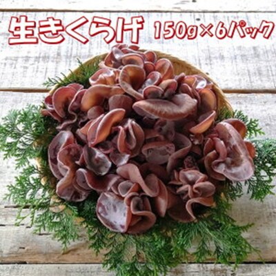 【希少/申込9月15日まで】純国産 生きくらげ900g(150g×6パック)_1798R