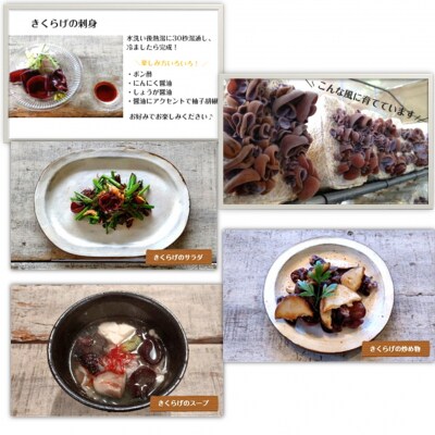 【希少/申込9月15日まで】純国産 生きくらげ900g(150g×6パック)_1798R