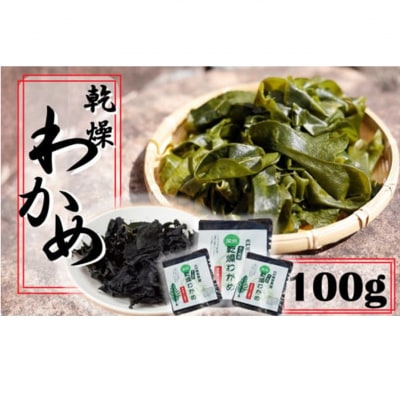 ミネラル豊富な海の野菜!乾燥わかめ100g(18g×4P・7g×4P)_2218R
