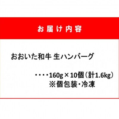 お肉屋さんの「おおいた和牛 生ハンバーグ」たっぷり1.6kg!(160g×10個)_2227R