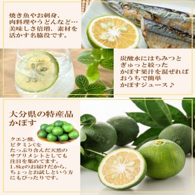 【先行受付】素材を活かす名脇役 大分県産かぼす1.8kg_2254R