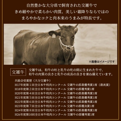 おおいた豊美牛ももスライス 800g (400g×2P)_2258R