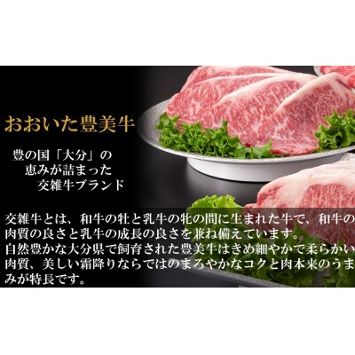 おおいた豊美牛肩ローススライス 600g (300g×2P)_2260R