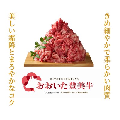おおいた豊美牛切り落とし 600g (300g×2P)_2264R