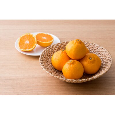 【先行受付】西田農園のハウスでこぽん(不知火)約3kg_1272R