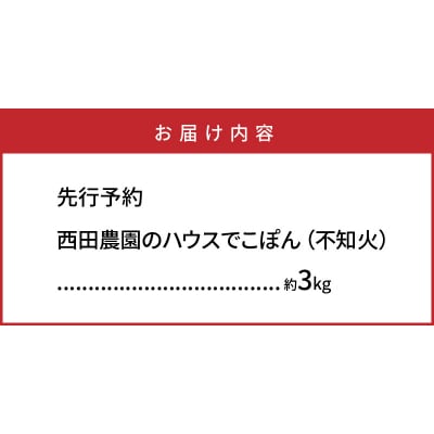 【先行受付】西田農園のハウスでこぽん(不知火)約3kg_1272R