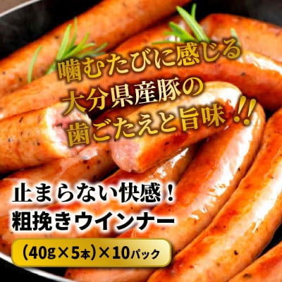 【ご好評につき1～2ヶ月待ち】止まらない快感! 粗挽きウインナー 2kg_1499R