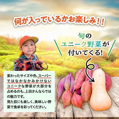 上田農園のさつまいも食べ比べセット5kgとユニーク野菜付き_2119R