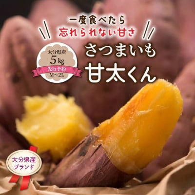 【先行受付】さつまいも 甘太くん 5kg 大分県産 M～2L 紅はるか サツマイモ_2291R