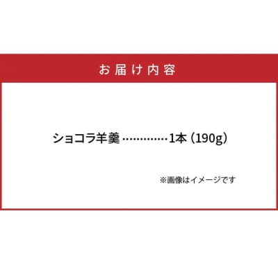 ショコラ羊羹 1本 チョコレート ようかん スイーツ デザート おやつ お菓子_2307R-1