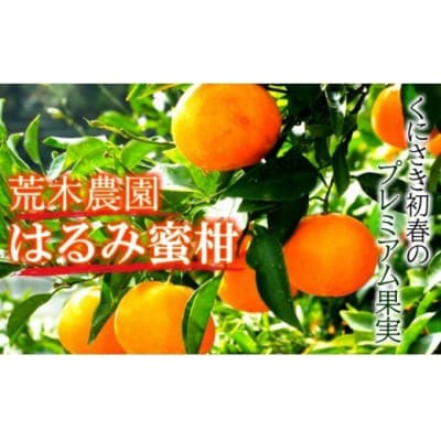 【令和8年2月から発送】荒木農園のはるみ4kg/弾ける果肉に感動のプレミアム蜜柑_1395R