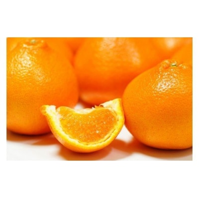 【令和8年2月から発送】荒木農園のはるみ4kg/弾ける果肉に感動のプレミアム蜜柑_1395R