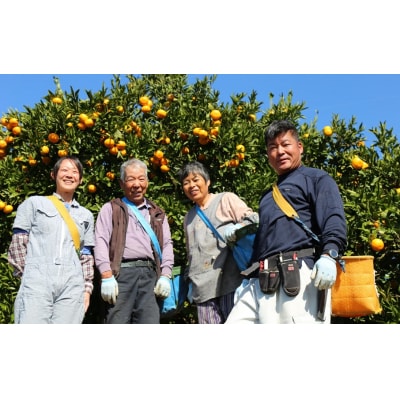 【令和8年2月から発送】荒木農園のはるみ4kg/弾ける果肉に感動のプレミアム蜜柑_1395R