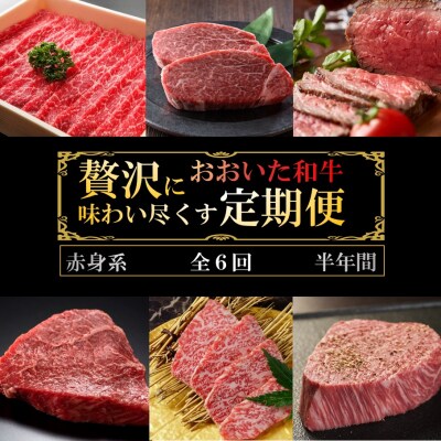 毎月お届け! おおいた和牛を贅沢に味わい尽くす半年間定期便 / 赤身系 計6回 _2312R