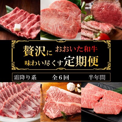 毎月お届け! おおいた和牛を贅沢に味わい尽くす半年間定期便 / 霜降り系 計6回_2313R