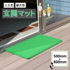 玄関マット 汚れ落とし ハウスデラックスマット カールタイプ 50cm×80cm _2315R
