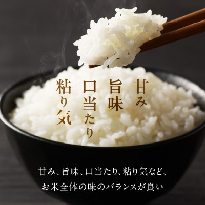 【令和7年産】チャック付きで保存も楽ちん!つやつやの大分県産つや姫10kg(2kg×5袋)2340R