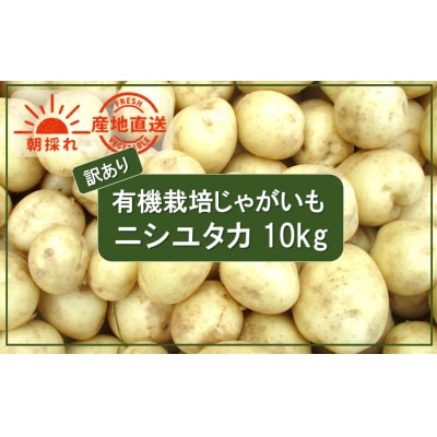 先行受付【訳あり】朝収穫してその日に発送!有機栽培じゃがいも10kg(品種:ニシユタカ)_2356R
