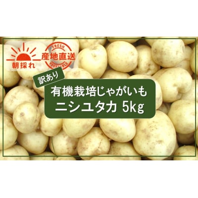 先行受付【訳あり】朝収穫してその日に発送!有機栽培じゃがいも5kg(品種:ニシユタカ)_2355R