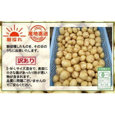 先行受付【訳あり】朝収穫してその日に発送!有機栽培じゃがいも5kg(品種:ニシユタカ)_2355R