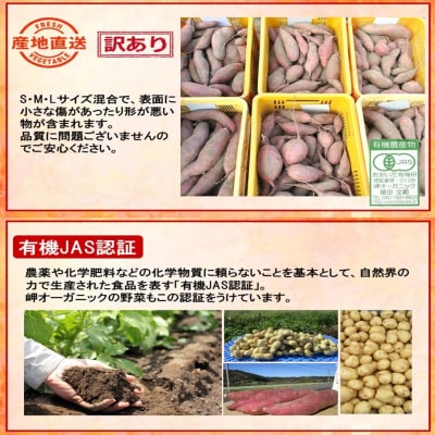 【訳あり】有機栽培さつまいもの岬ちゃん5kg(品種:紅はるか)_2357R