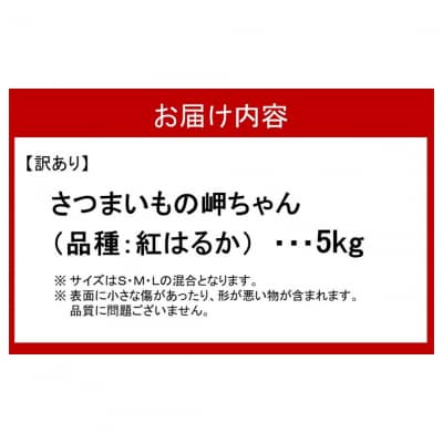 【先行予約】【訳あり】有機栽培さつまいもの岬ちゃん5kg(品種:紅はるか)_2357R