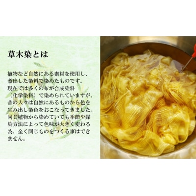 草木染コースター5色セット_2301R