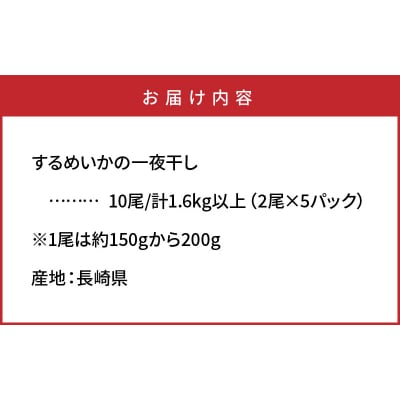 【訳あり】逸品!肉厚するめ烏賊一夜干したっぷり10尾(1.6kg以上) _1836R
