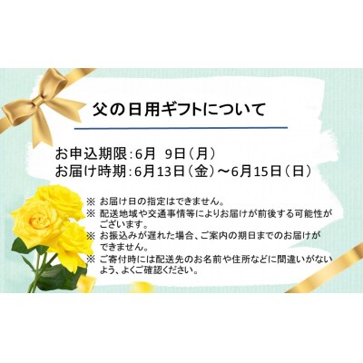 【父の日ギフト】西の関・清酒飲みくらべ(手造り純米酒&特別本醸造くにさき)_2405R