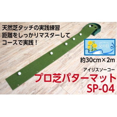 【父の日ギフト】ゴルフ練習用　アイリスソーコー　プロ芝パターマット　SP-040_2408R