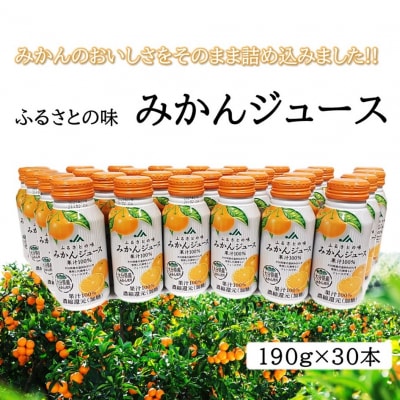 ふるさとの味 みかんジュース(190g×30本)_2403R