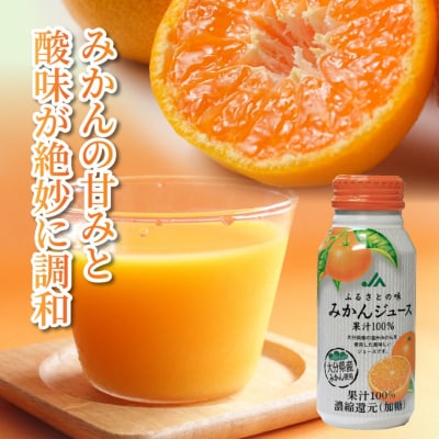 ふるさとの味 みかんジュース(190g×30本)_2403R